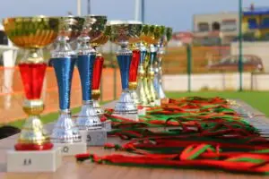 Sports awards, trophies and medals at p.c. engravers world of trophies awards