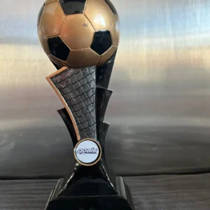 3-D black and gold resin football trophy